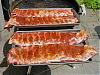 Treats for work-ribs1bbq.jpg